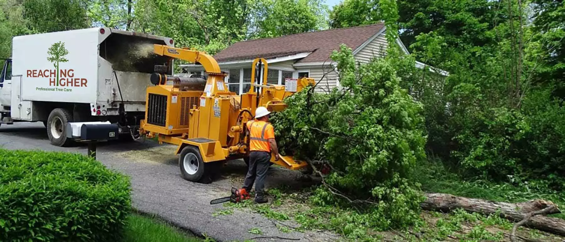 Reaching Higher Professional Tree Care is currently closed for business. We hope to re-open at the end of 2024.