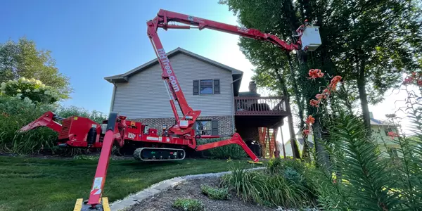 Tree Removal