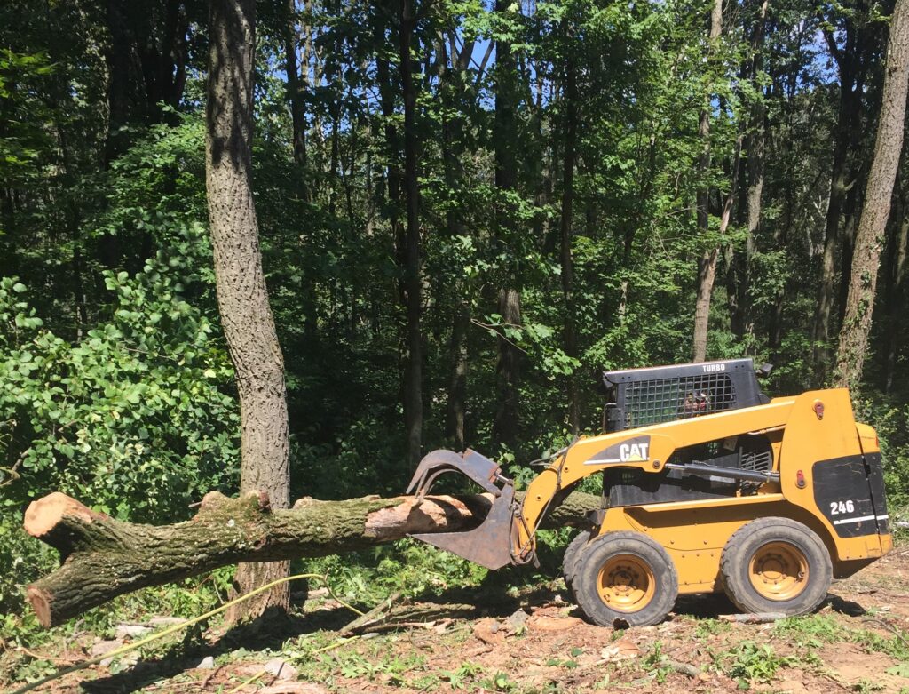 tree removal and land clearing service with skid steer