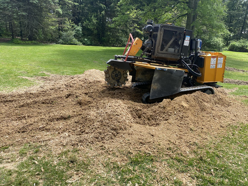 heavy equipment grinding away a stump