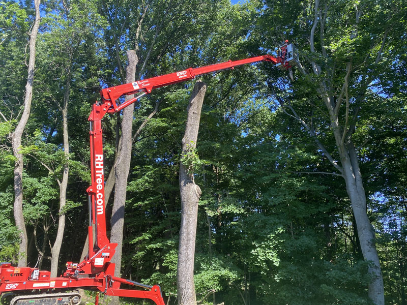man in lift providing commercial tree pruning