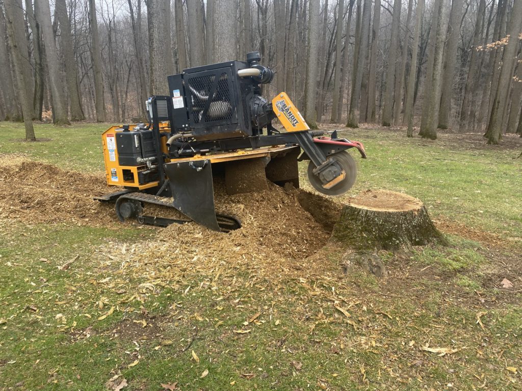 man using stump grinder