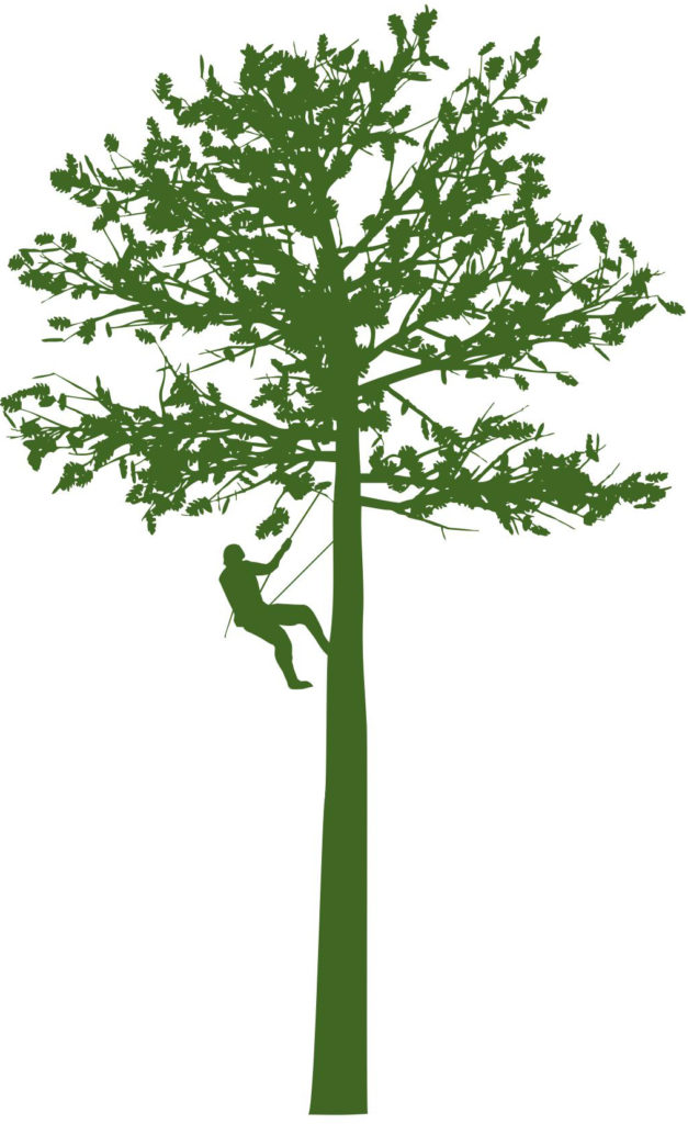 Reaching Higher Tree Logo