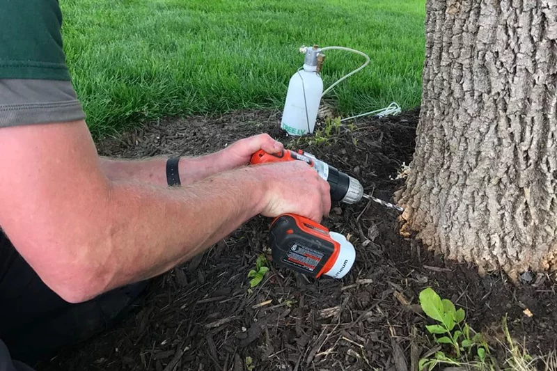 plant health care service