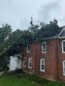 Tree on a roof in Lancaster Pennsylvania. tree falls on your roof