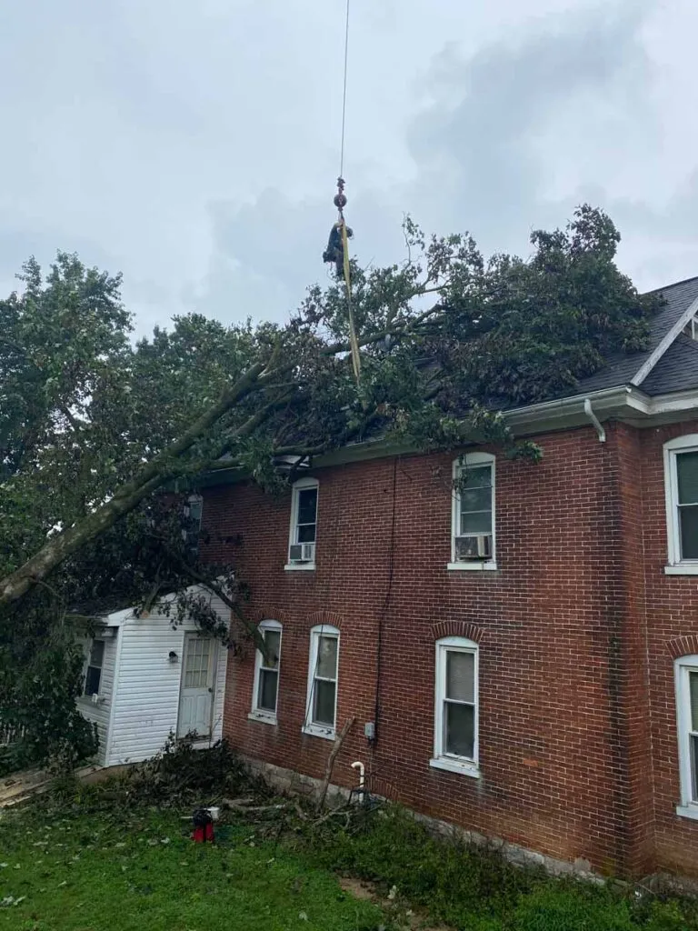 What to Do If a Tree Falls on Your Roof in Lancaster, PA 4 Tree on a roof in Lancaster Pennsylvania. tree falls on your roof