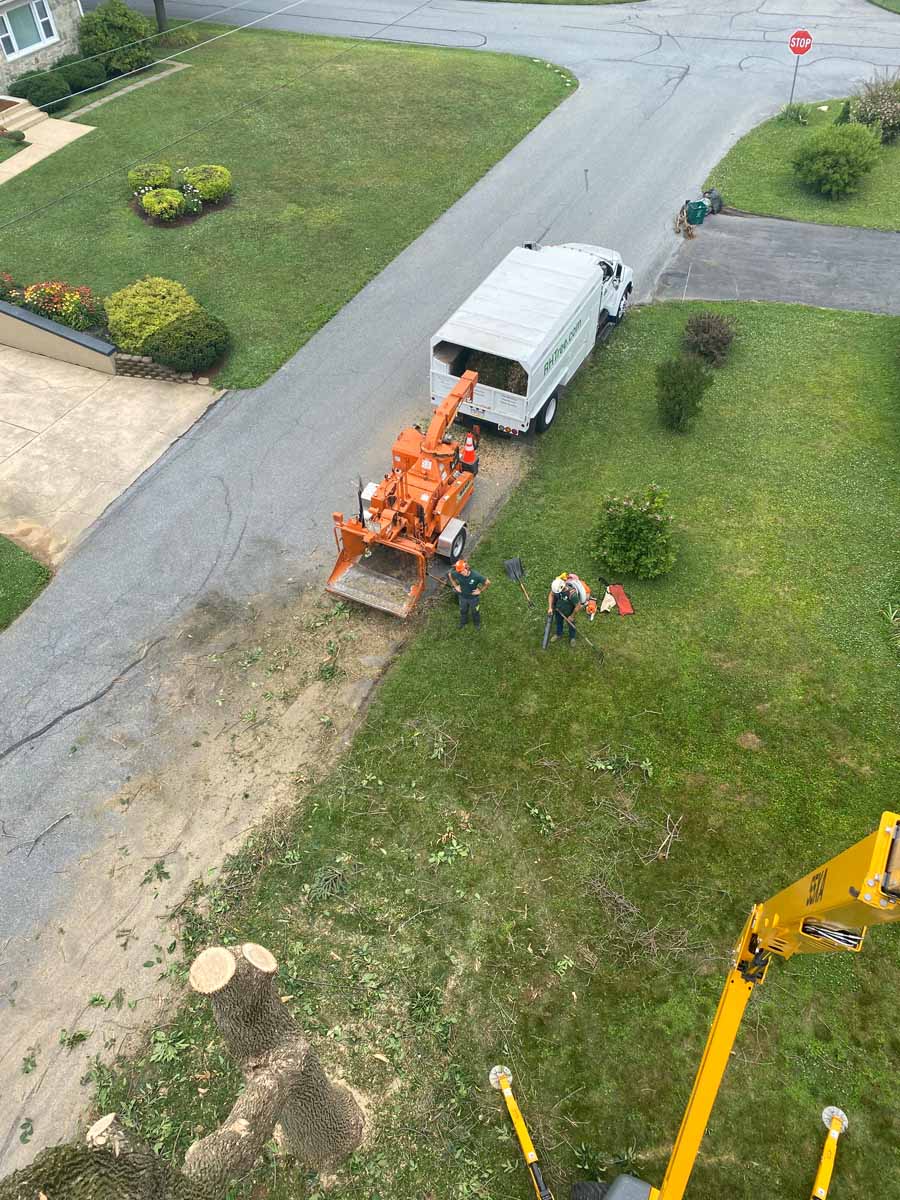 Tree Service in Lancaster County, PA - Reaching Higher