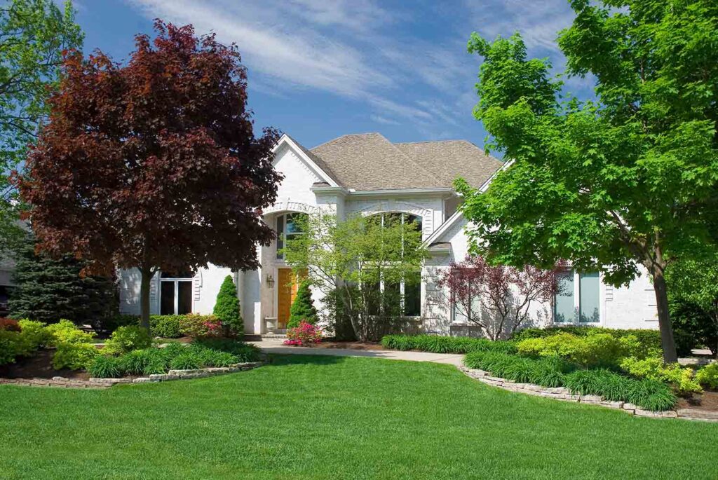 Choosing the Right Trees for Your Lancaster, PA Landscape 1 residence with healthy trees